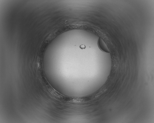 X0000073850758200609071607