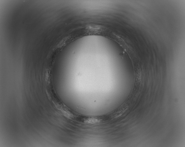 X0000073850759200609071607