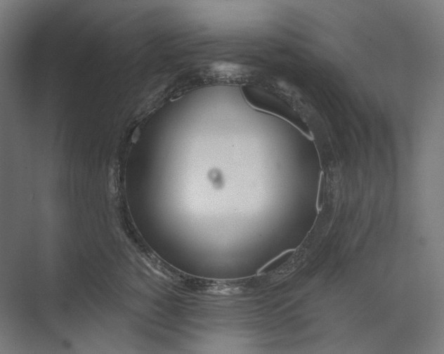 X0000073850760200609071607