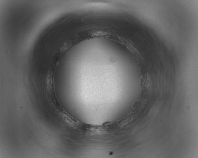 X0000073850763200609071607