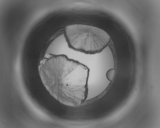 X0000073850765200609071607