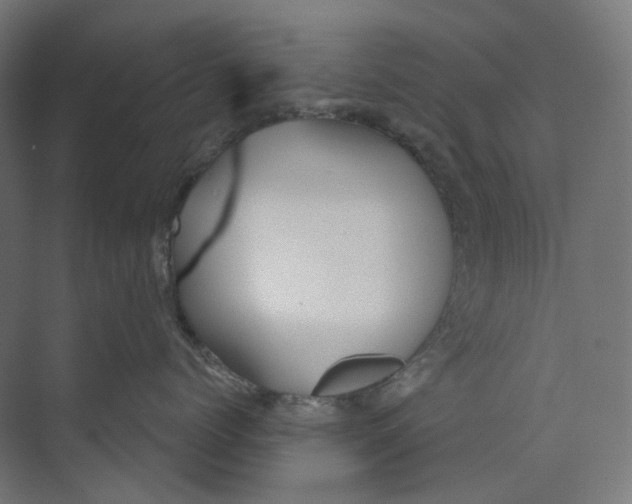 X0000073850768200609071607