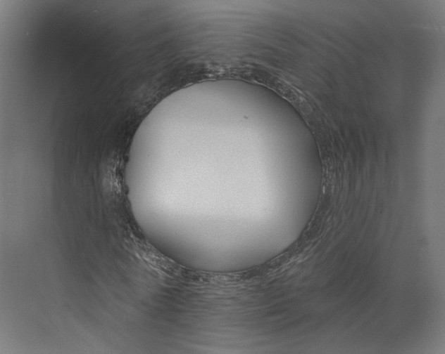 X0000073850770200609071606