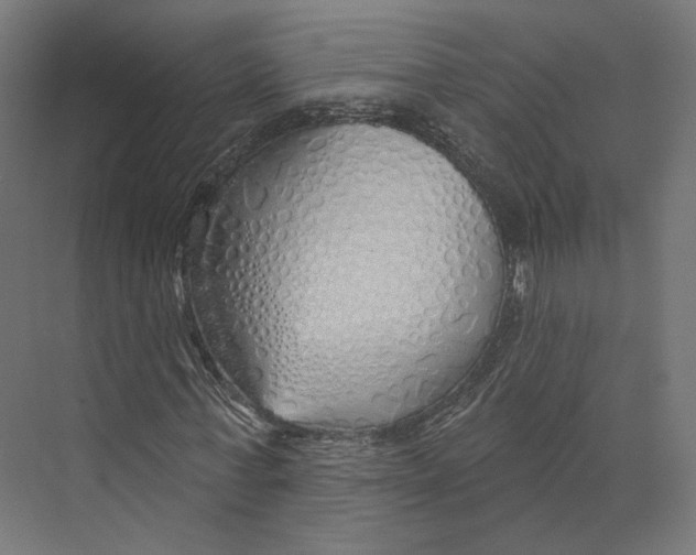 X0000073850771200609071606