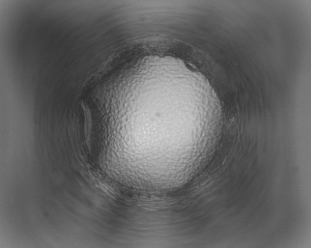 X0000073850772200609071606