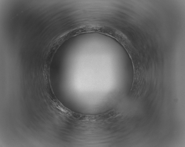 X0000073850773200609071606