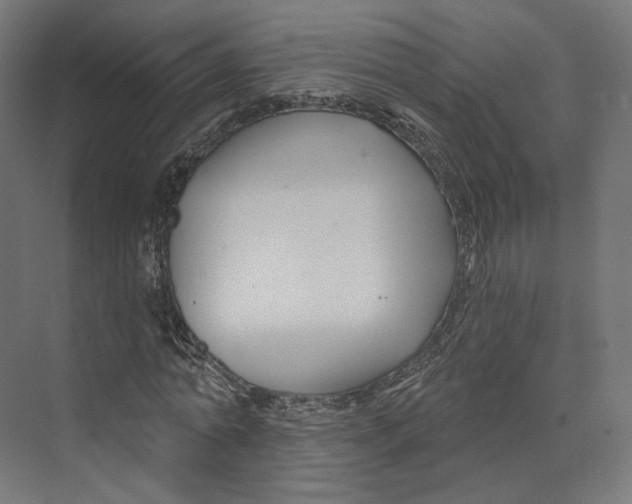 X0000073850774200609071606