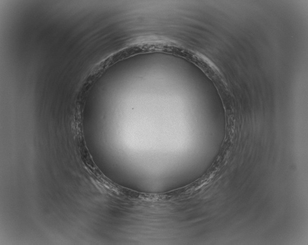 X0000073850775200609071606