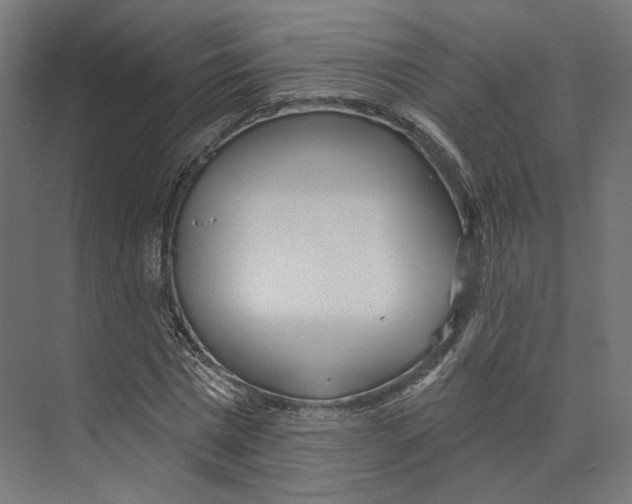 X0000073850777200609071606