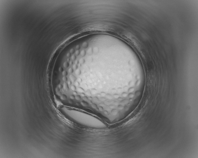 X0000073850779200609071606