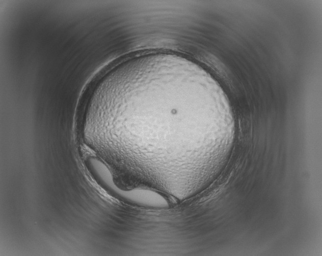 X0000073850780200609071606