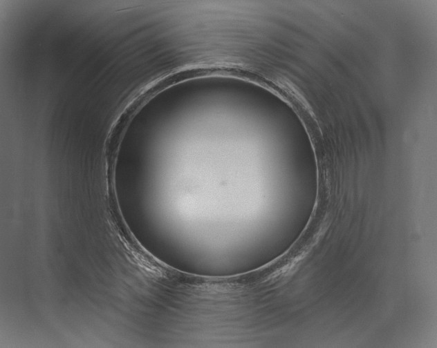 X0000073850781200609071606