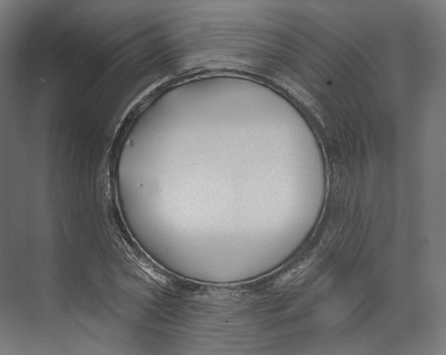 X0000073850782200609071606