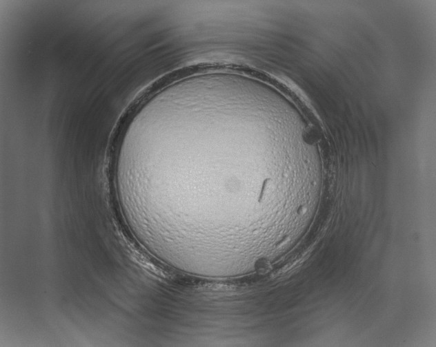 X0000073850783200609071606