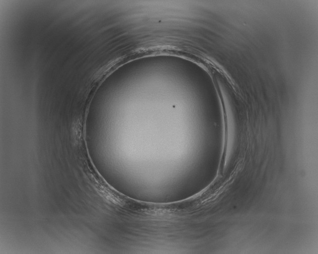 X0000073850785200609071606