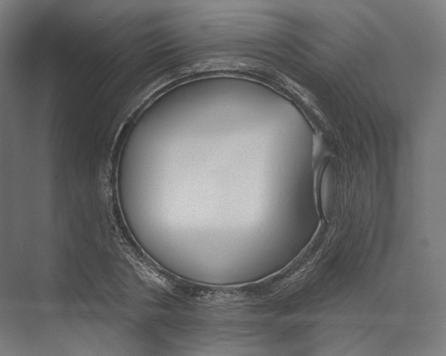 X0000073850786200609071606