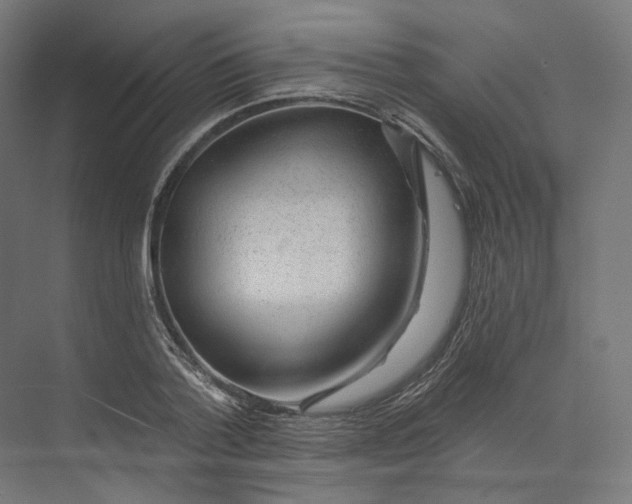 X0000073850788200609071606