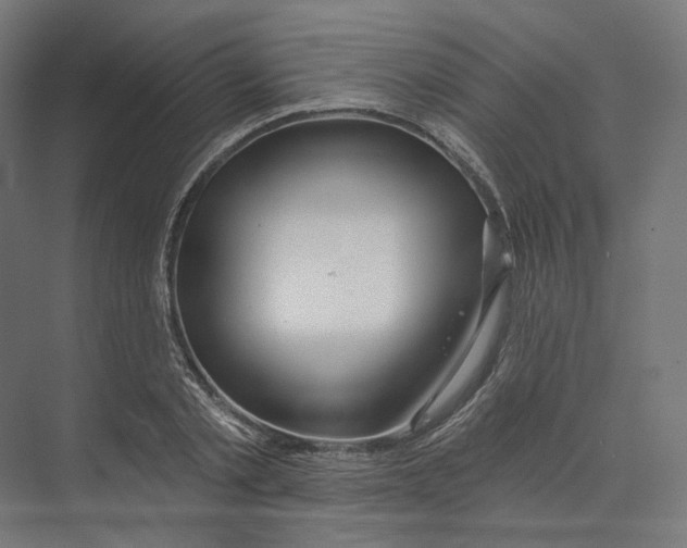 X0000073850789200609071606