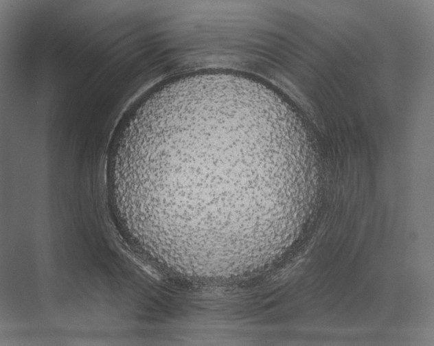 X0000073850790200609071606