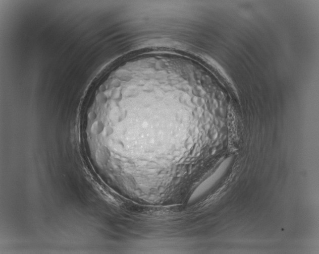 X0000073850791200609071606