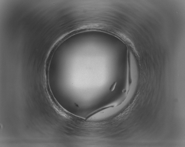 X0000073850792200609071606