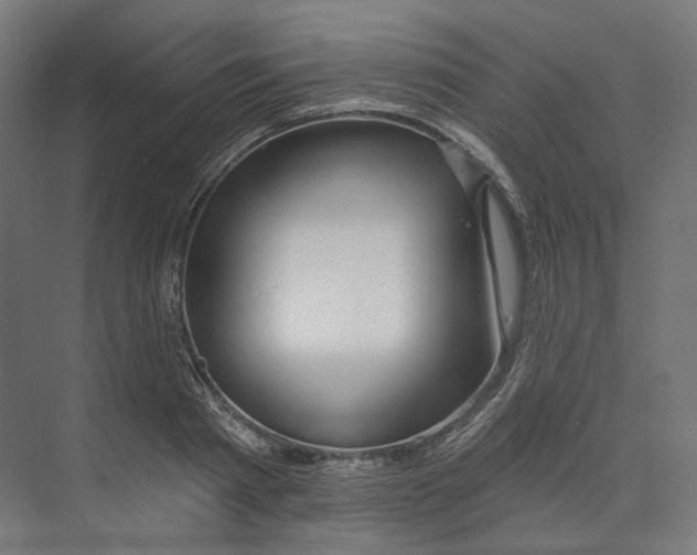 X0000073850793200609071606