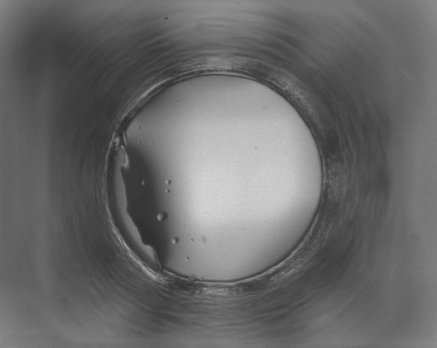 X0000073850794200609071606