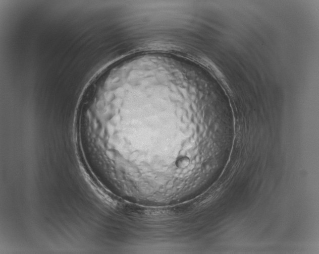 X0000073850795200609071606