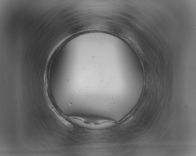 X0000073850796200609071606