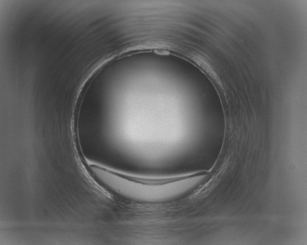 X0000073850797200609071606