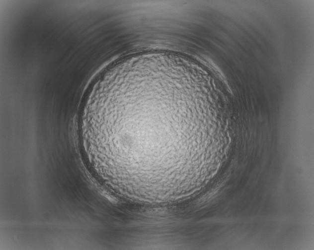 X0000073850798200609071606