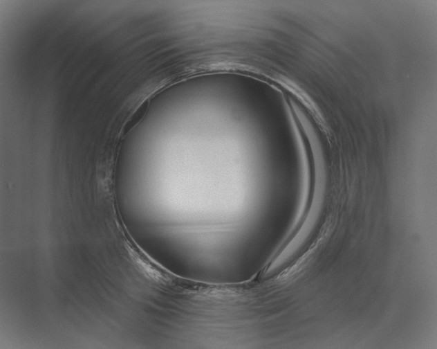 X0000073850801200609071605