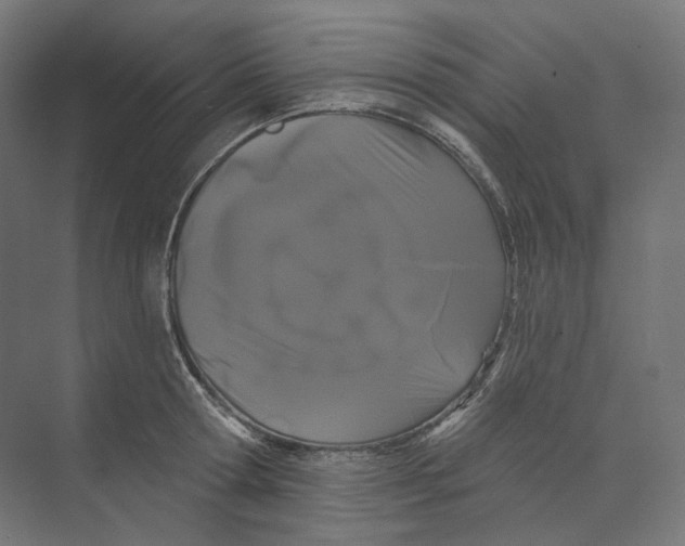 X0000073850802200609071605