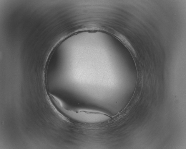 X0000073850805200609071605