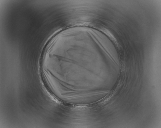 X0000073850806200609071605