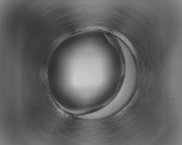 X0000073850809200609071605