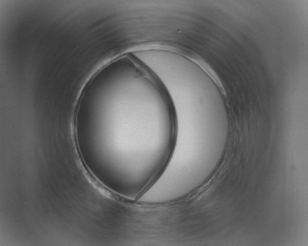 X0000073850813200609071605