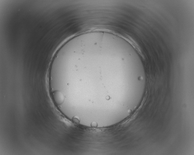 X0000073850814200609071605