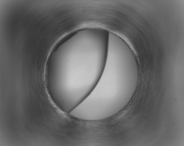 X0000073850815200609071605