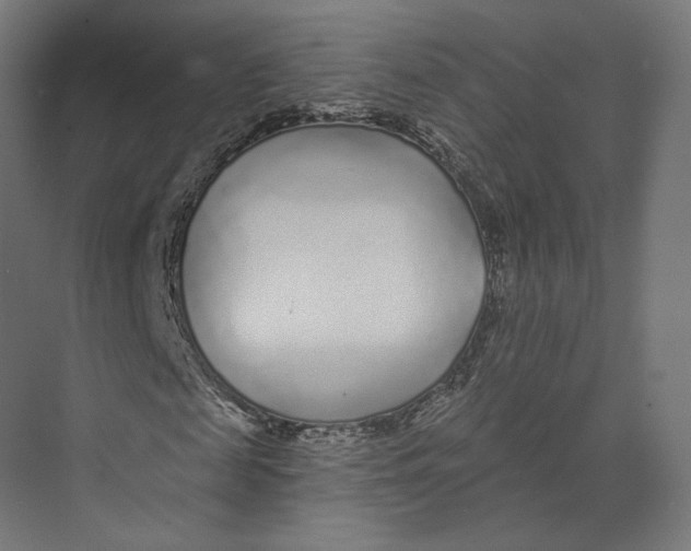 X0000073850817200609071604