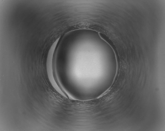 X0000073850818200609071604