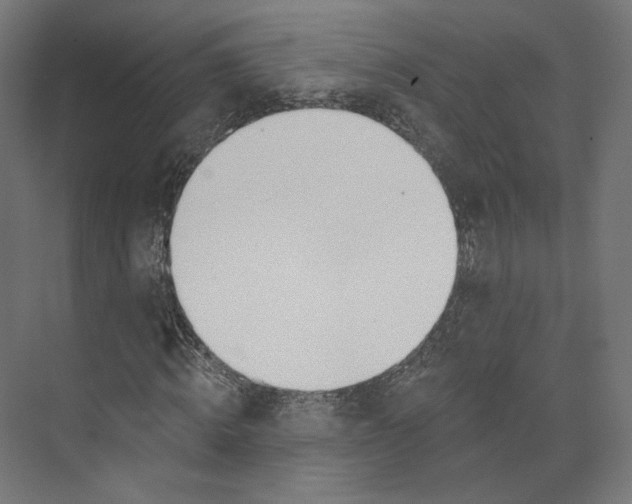 X0000073850820200609071604