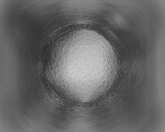 X0000073850821200609071604