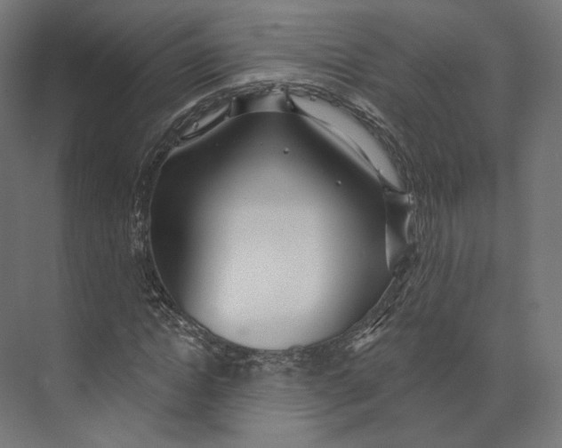 X0000073850822200609071605