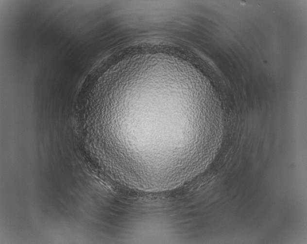 X0000073850823200609071605