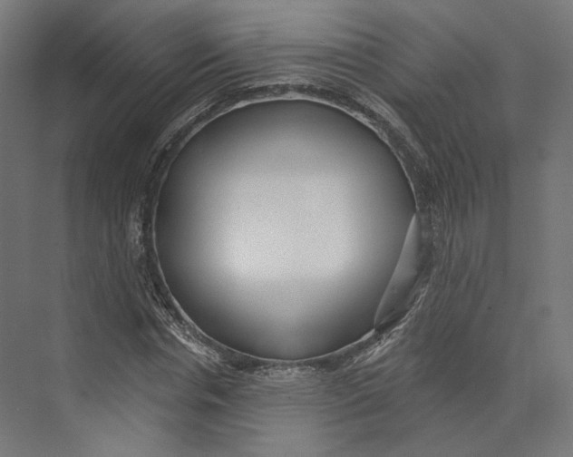 X0000073850826200609071605