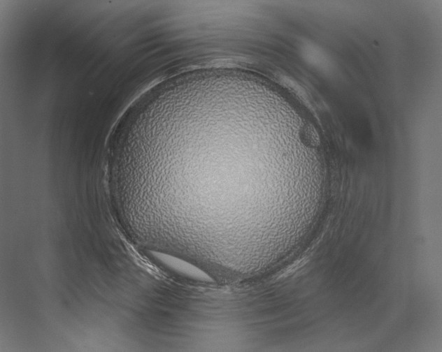 X0000073850827200609071605