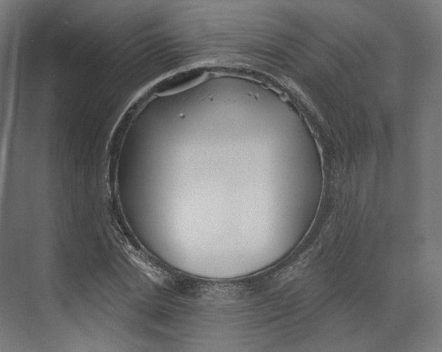 X0000073850830200609071605