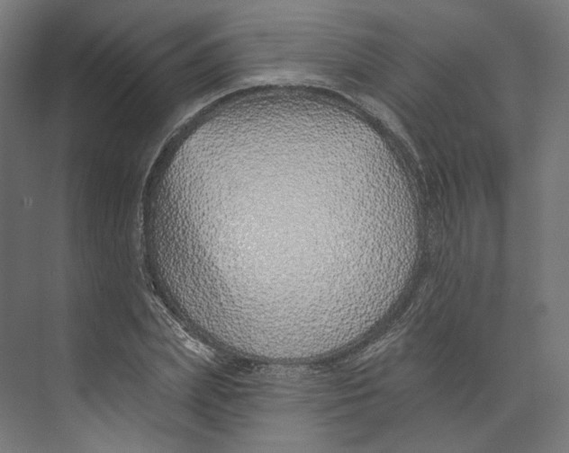 X0000073850831200609071605