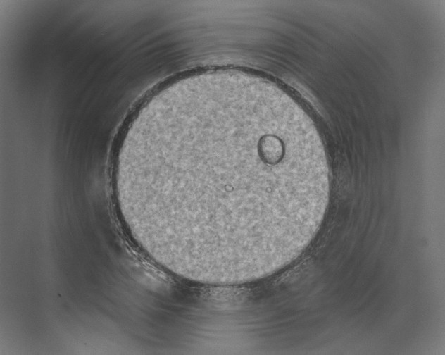 X0000073850832200609071605